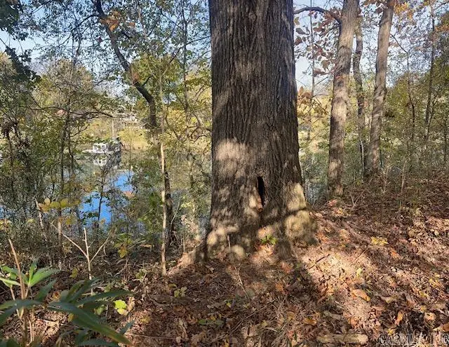 250 Gardner Drive, Heber Springs, AR 72543 - Image #3