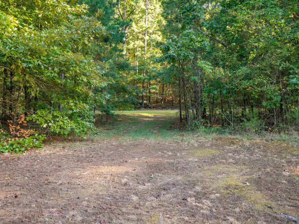 2000 Block of W Glazypeau, Mountain Pine, AR 71956 - Image #1