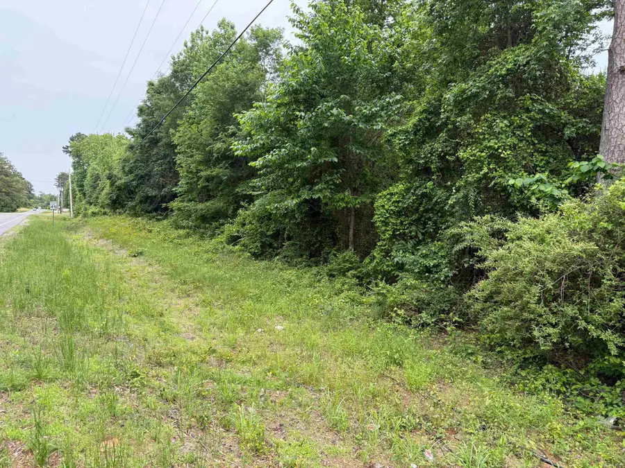 TBD Pine Street, Arkadelphia, AR 71923 - Image #2