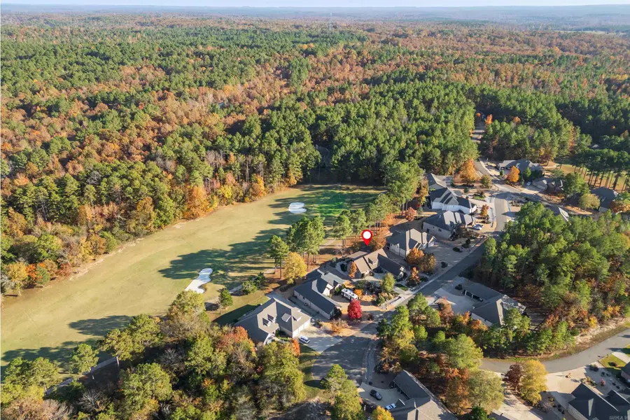 10 Gijon Lane, Hot Springs Village, AR 71909 - Image #3