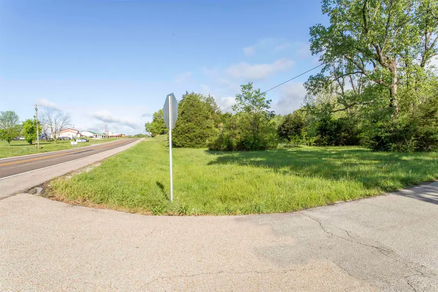 TBD Perrin Street, Ravenden, AR 72459 - Image #3