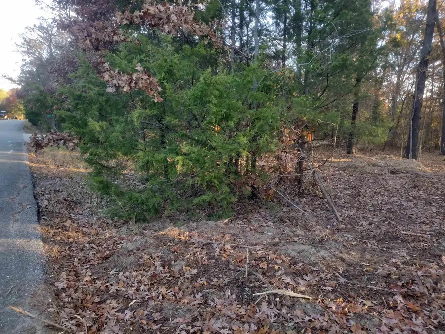 0 Westwood Ave, Mountain View, AR 72560 - Image #3