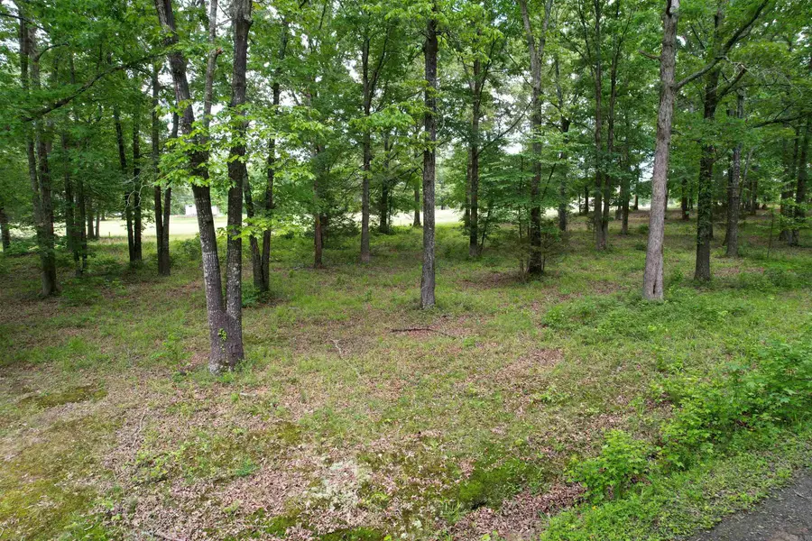 000 Clubhouse Circle, Heber Springs, AR 72543 - Image #2