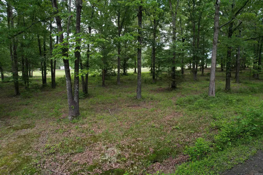 000 Clubhouse Circle, Heber Springs, AR 72543 - Image #3