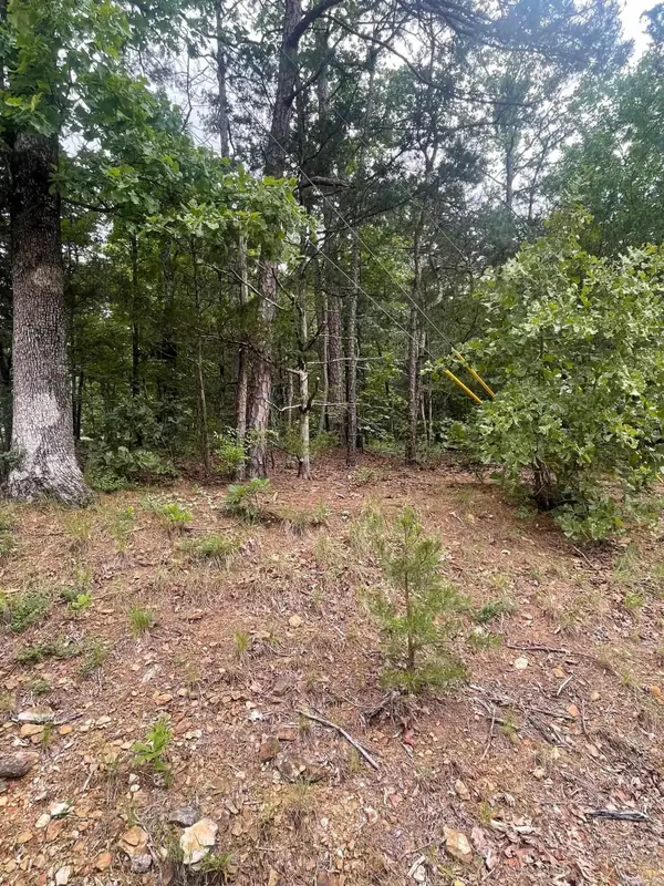 Lot 28 Tulip Trail Drive, Fairfield Bay, AR 72088