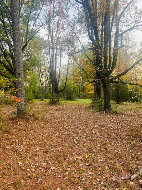 Address Withheld By Seller, Monticello, AR 71655