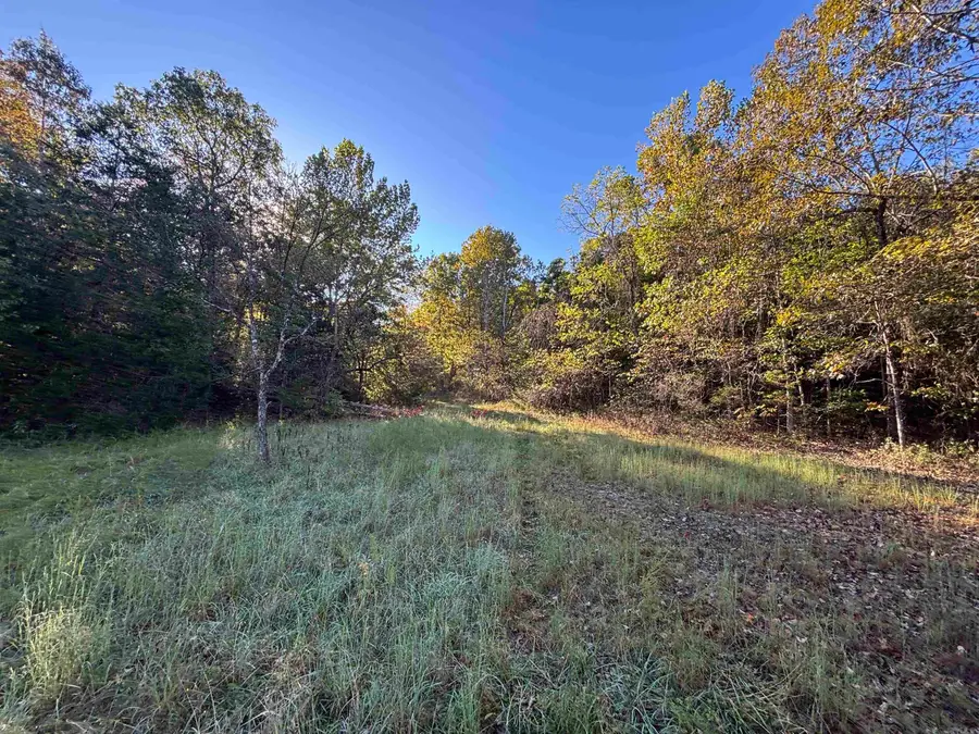 000 Timbercrest Road, Viola, AR 72583 - Image #3