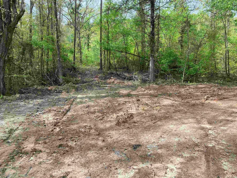 707 W Hwy 95, Clinton, AR 72031 - Image #2