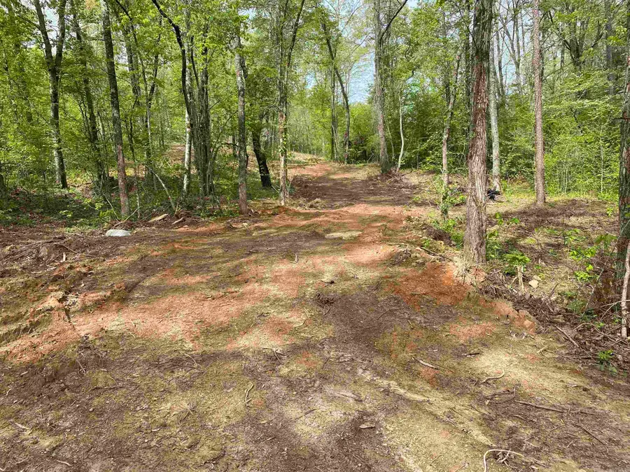 707 W Hwy 95, Clinton, AR 72031 - Image #3