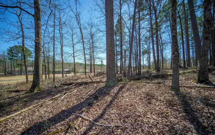 73 Cifuentes Way, Hot Springs Village, AR 71909 - Image #2