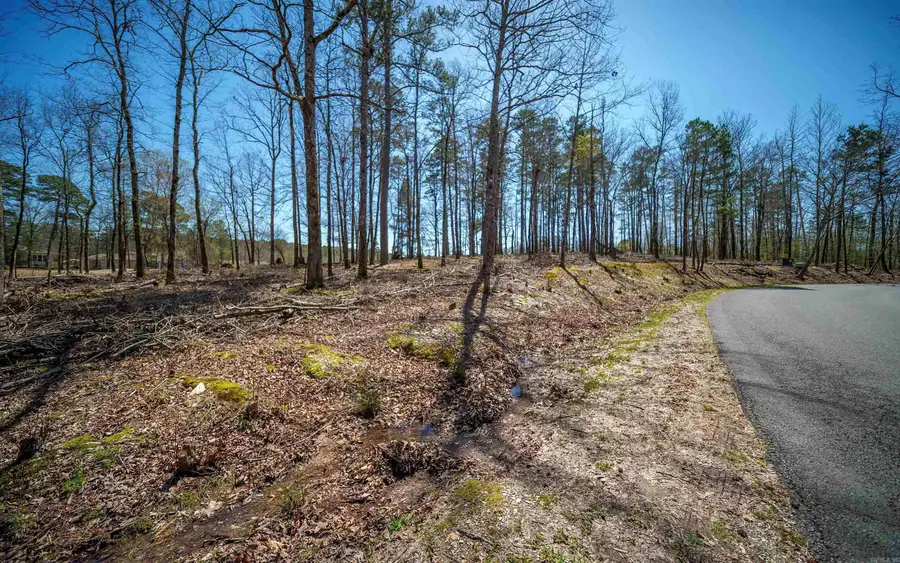 73 Cifuentes Way, Hot Springs Village, AR 71909 - Image #3