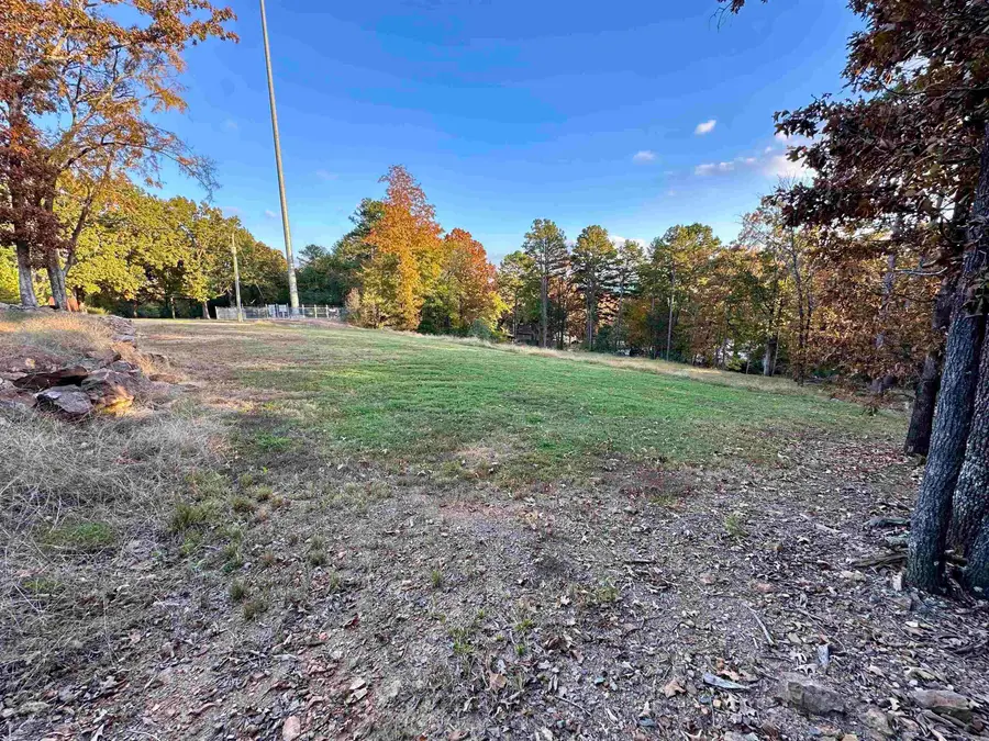 Hwy 110 W & Ash Street, Heber Springs, AR 72543 - Image #3