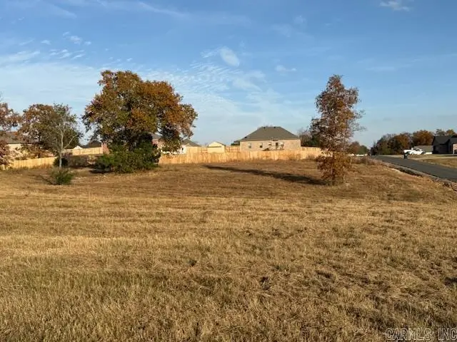 21 Summer Sky Drive, Greenbrier, AR 72058 - Image #2