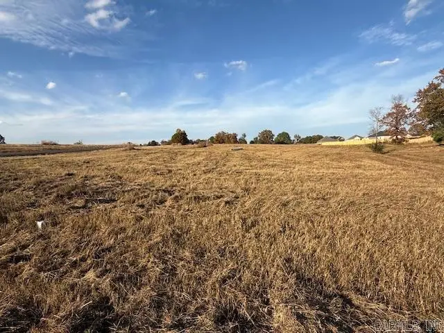 21 Summer Sky Drive, Greenbrier, AR 72058 - Image #3