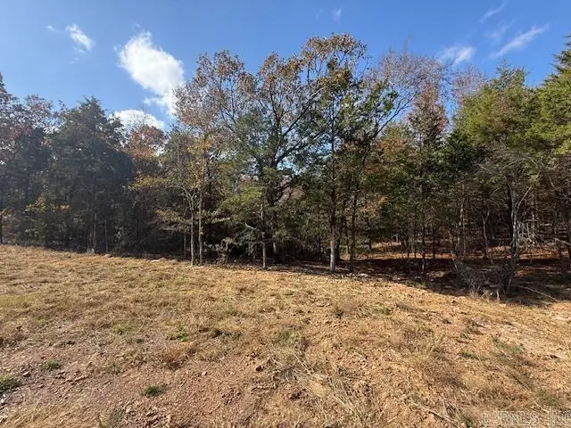 38 Summer Sky Drive, Greenbrier, AR 72058 - Image #3