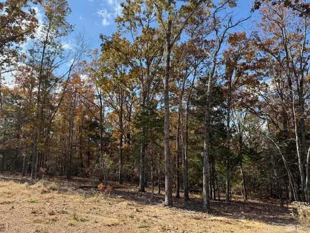 42 Summer Sky Drive, Greenbrier, AR 72058 - Image #3