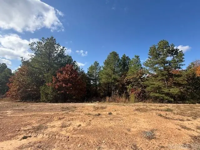 50 Summer Sky Drive, Greenbrier, AR 72058 - Image #2