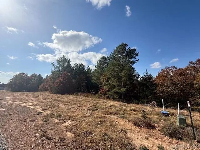 50 Summer Sky Drive, Greenbrier, AR 72058 - Image #3