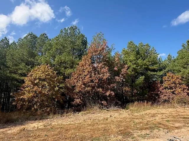 54 Summer Sky Drive, Greenbrier, AR 72058 - Image #2