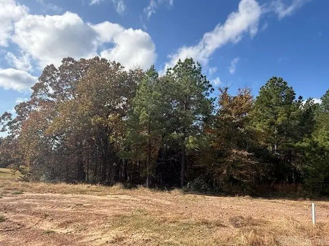 58 Summer Sky Drive, Greenbrier, AR 72058 - Image #3