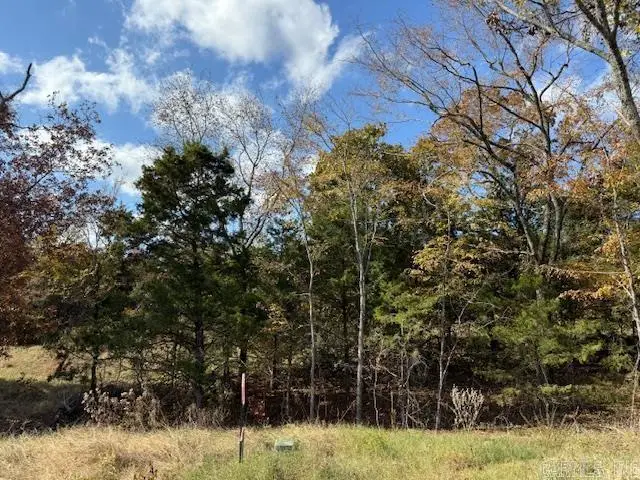 86 Summer Sky Drive, Greenbrier, AR 72058 - Image #2