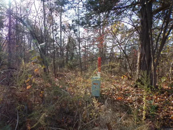 Heritage Oaks, Mountain View, AR 72560