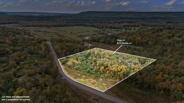 TRACT 4 - 13610 N Sr 105, Hector, AR 72843