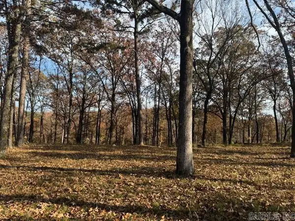 Lot 4C Ph. 4 Orchard Hill, Conway, AR 72034