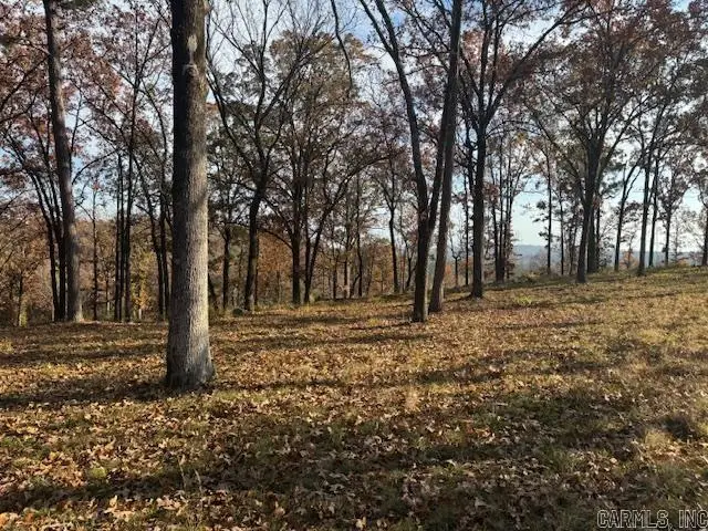 Lot 4C Ph. 4 Orchard Hill, Conway, AR 72034 - Image #2