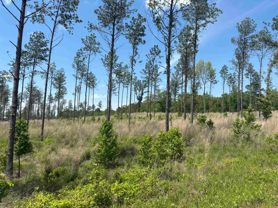 0 Grant 433, Sheridan, AR 72150 - Image #2