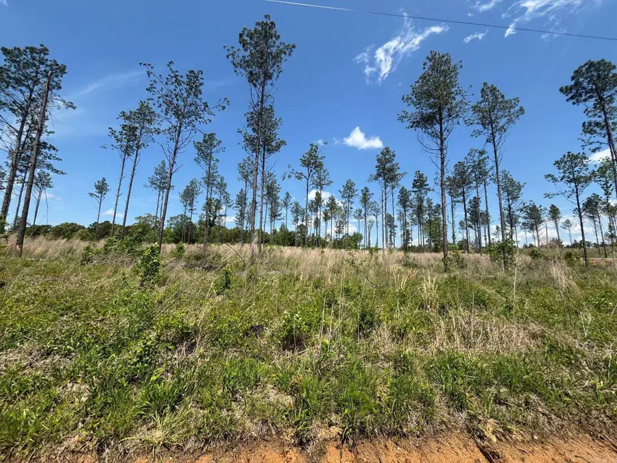 0 Grant 433, Sheridan, AR 72150 - Image #3