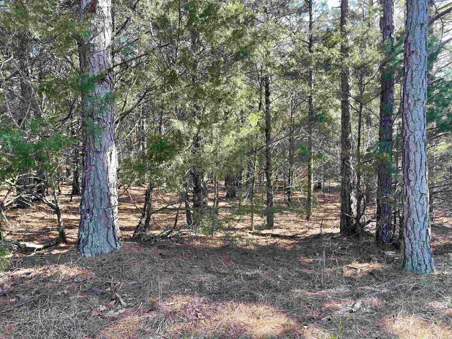 Lot 4 The Greens Drive, Fairfield Bay, AR 72088 - Image #3