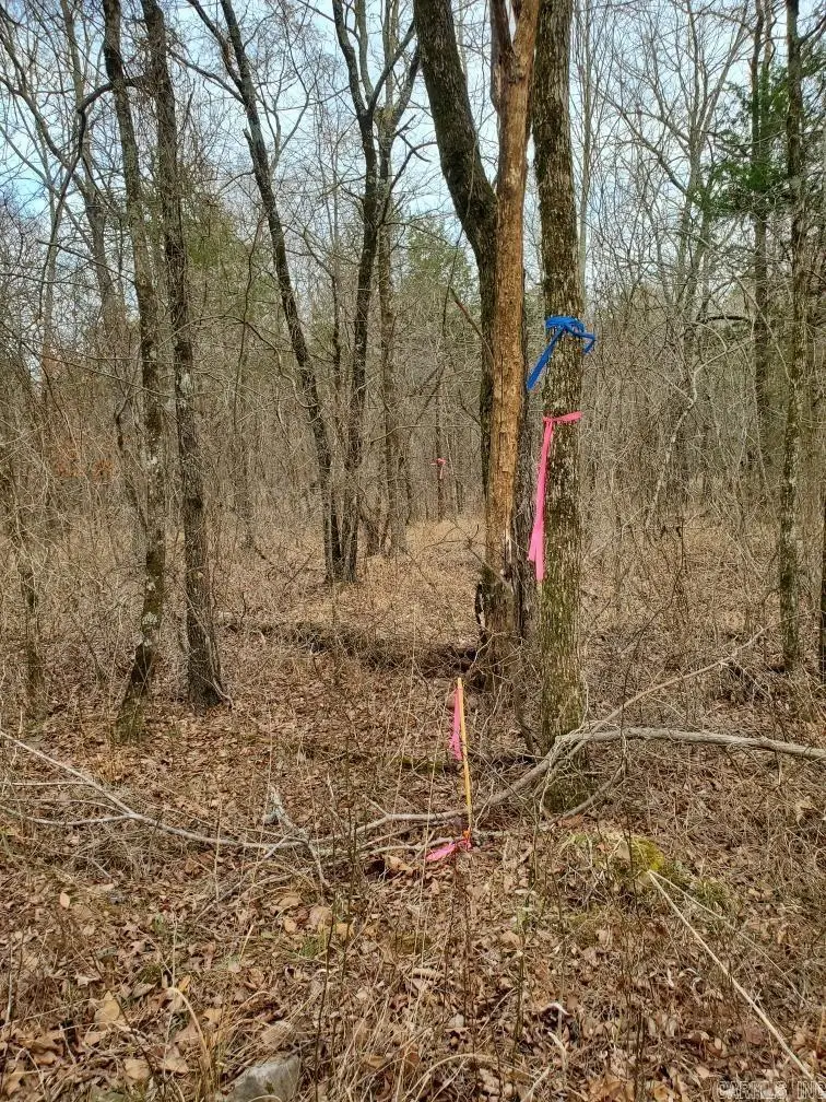 TBD Polk Road 197, Mena, AR 71953 - #1