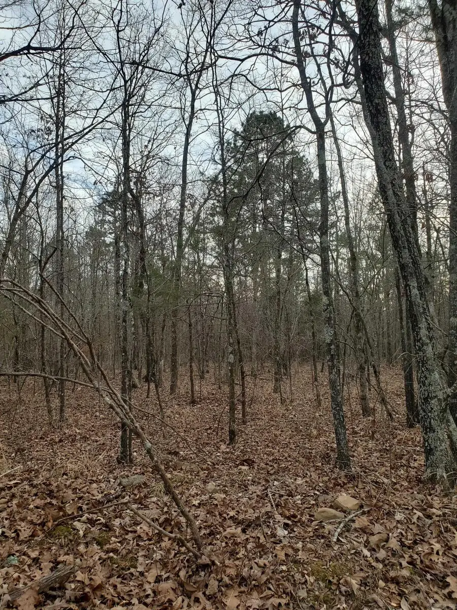 TBD Polk Road 197, Mena, AR 71953 - #3