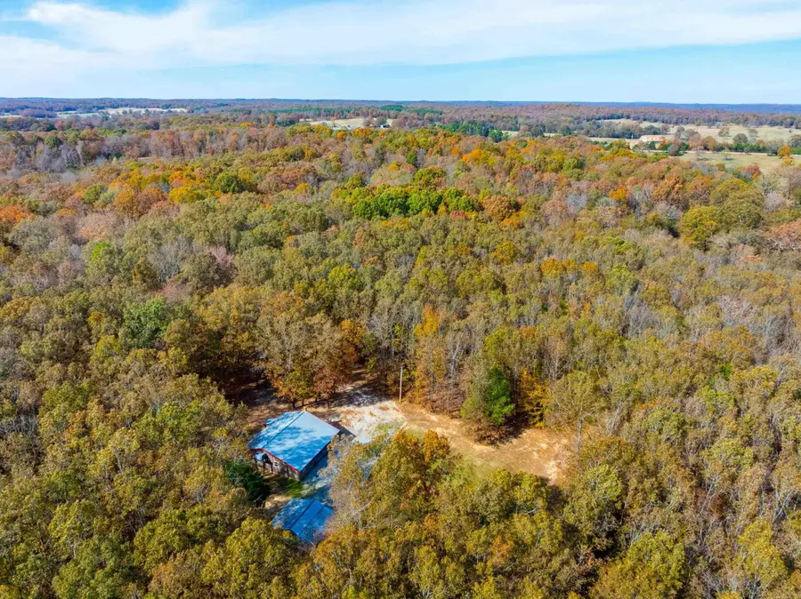 253 Judge Anderson Rd, Big Creek, AR 72521 - Image #2