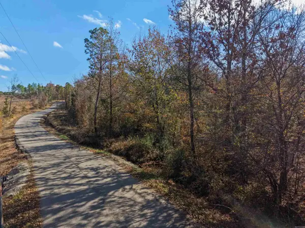 300 BLOCK OF Jimmie Coleman Road, Jessieville, AR 71949