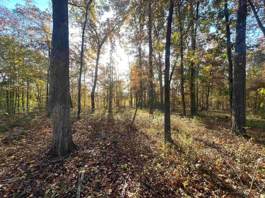 Address Withheld By Seller, Pine Bluff, AR 71603 - Image #3