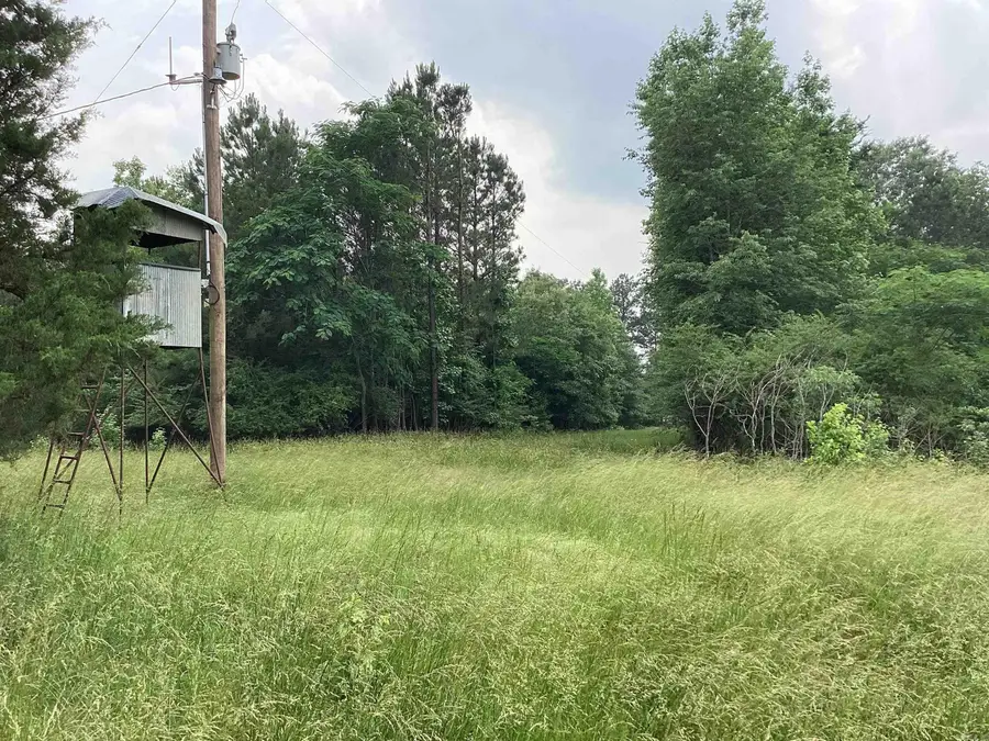 1006 Hempstead 24, Blevins, AR 71825 - Image #2