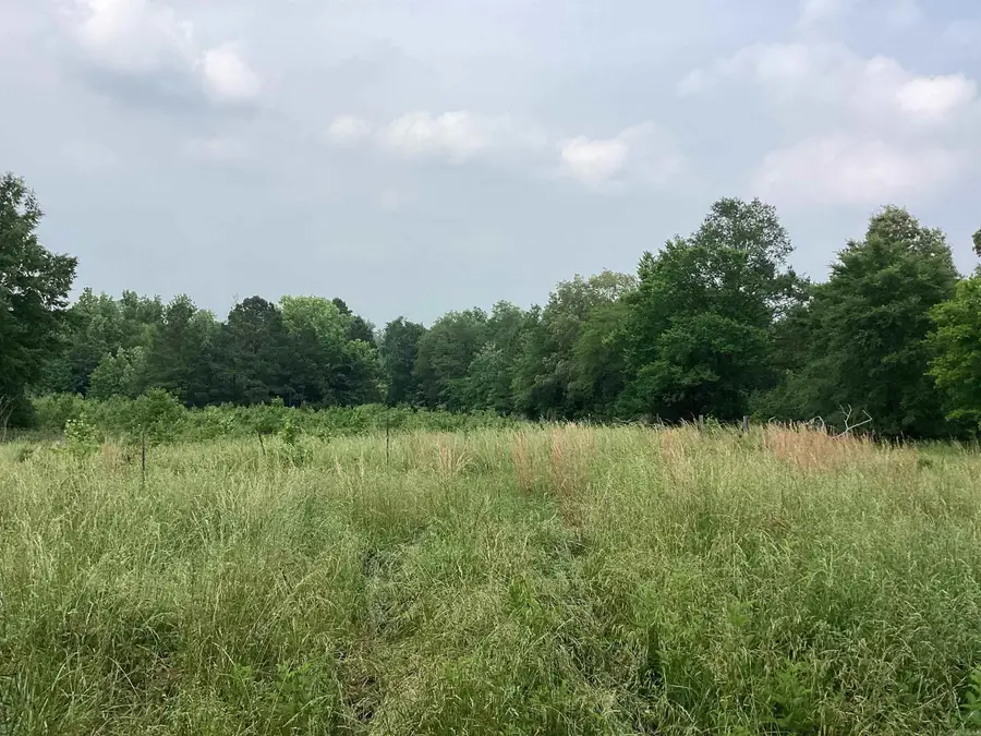 1006 Hempstead 24, Blevins, AR 71825 - Image #3