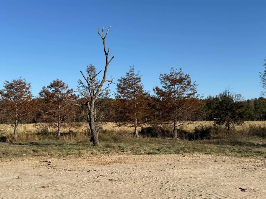 2220 Duck Levee, Biggers, AR 72413 - Image #2