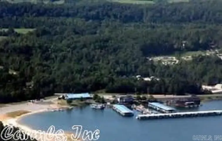 12 Viajero Way, Hot Springs Village, AR 71909 - Image #3