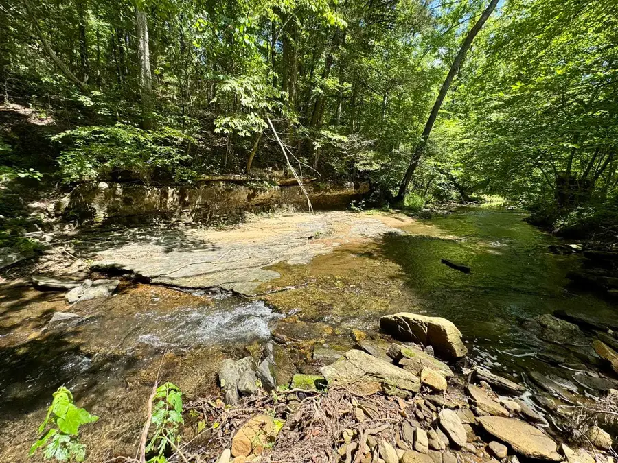 75.33 acres Rose Trail, Melbourne, AR 72556 - Image #2