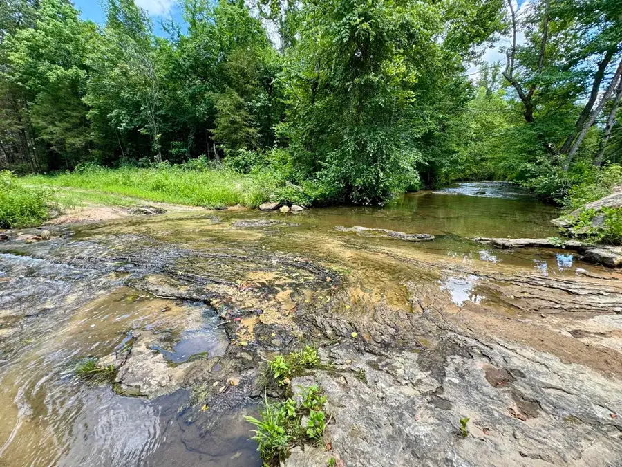 75.33 acres Rose Trail, Melbourne, AR 72556 - Image #3