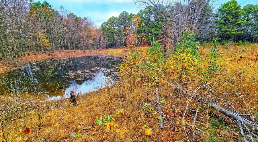 000 Elba Rd, Clinton, AR 72031 - Image #3