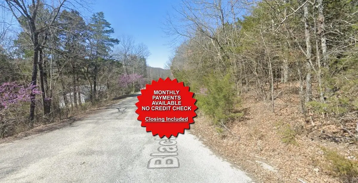 Lot 10 Blackfoot Lane, Holiday Island, AR 72631 - Image #1