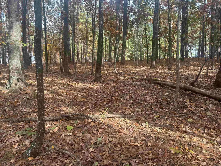 8 Ideal Lane, Hot Springs Village, AR 71909 - Image #2