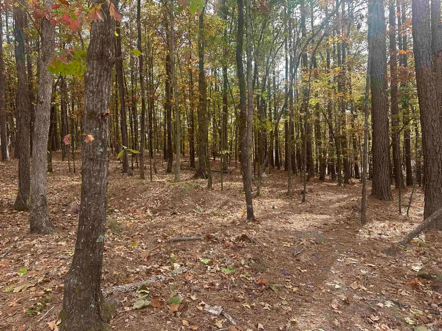 8 Ideal Lane, Hot Springs Village, AR 71909 - Image #3