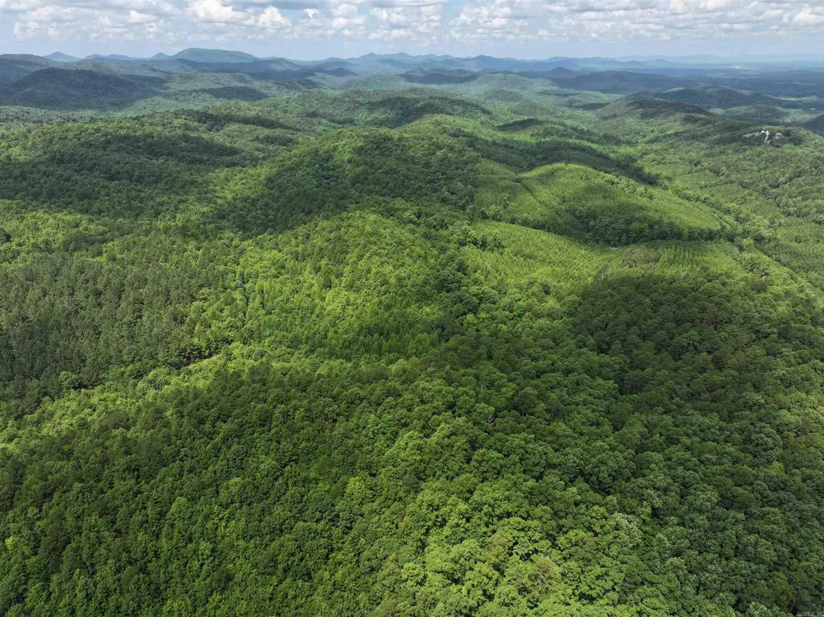 TBD Polk Road 61, Mena, AR 71953 - Image #1