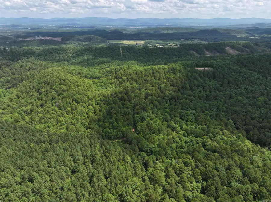 TBD Polk Road 61, Mena, AR 71953 - Image #3