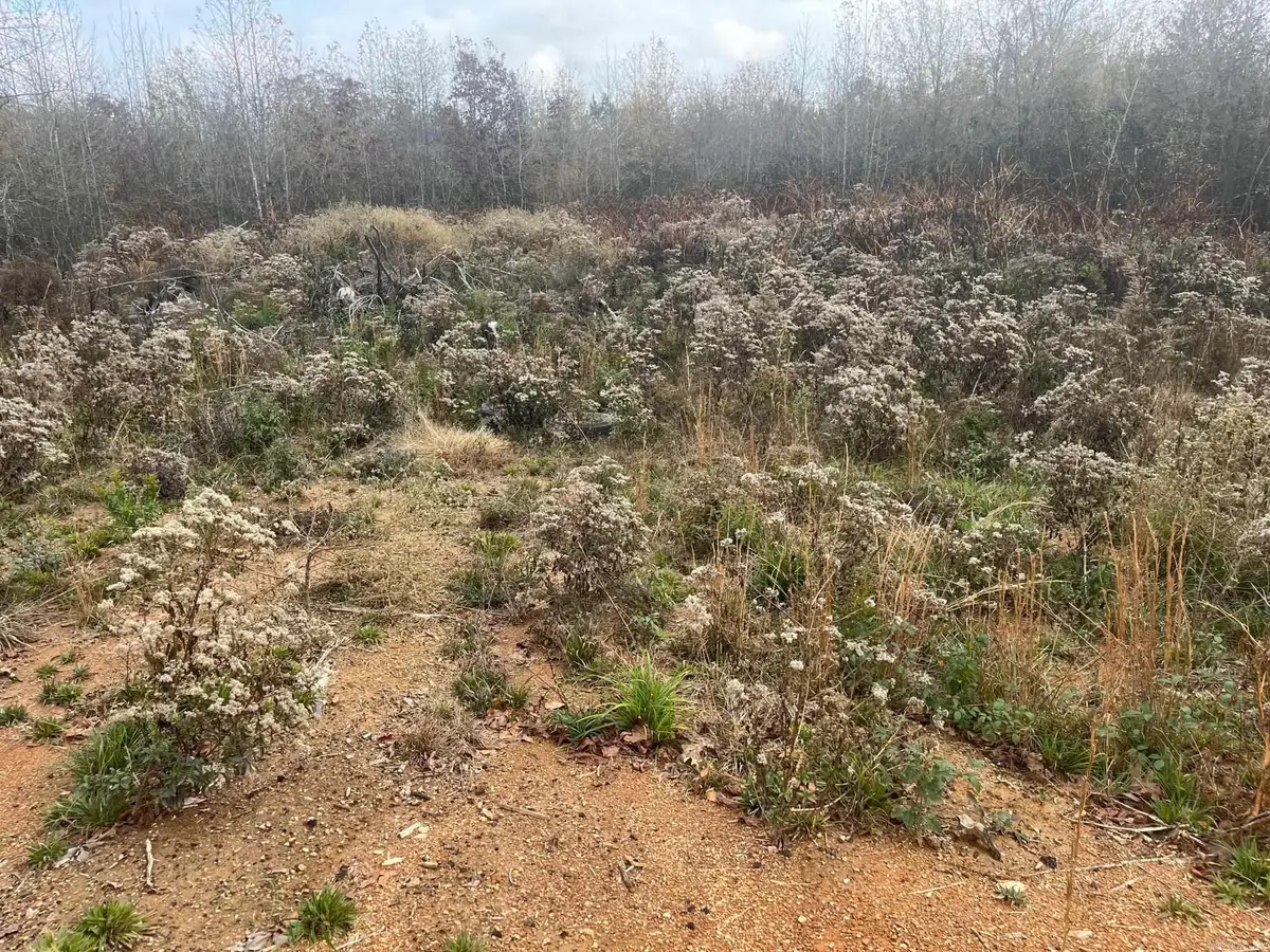 7112 Cold Creek Drive, Alexander, AR 72002 - Image #1